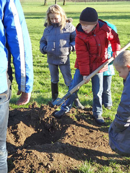 Plantation d'un arboretum à la Maison de la Forêt