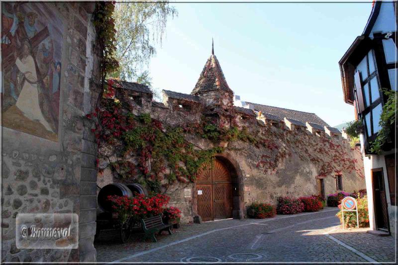 Alsace route des vins de Colmar à Ribeauvillé Kientzheim château Schwendi