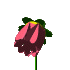 ROYAUMES FLORAUX