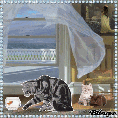 Le chat gourmand