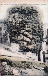 LES REMPARTS DE BEZU-SAINT-ELOI (Eure)