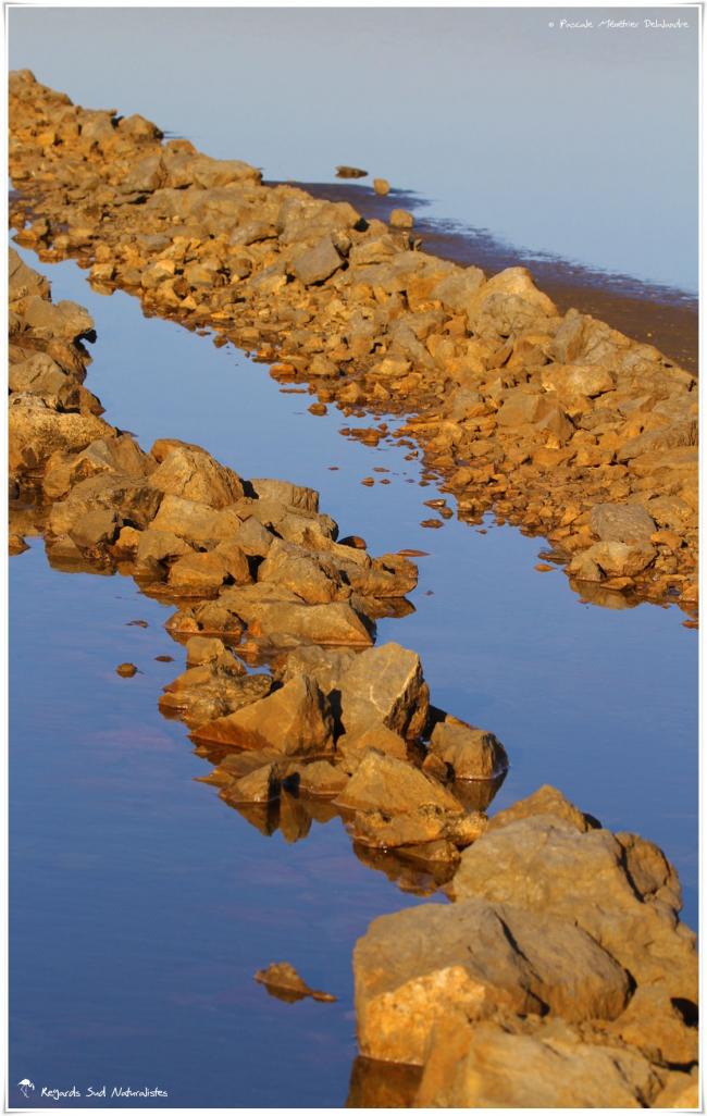 Salin de l’île Saint Martin