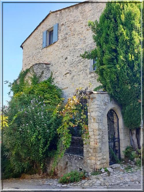 1010 - Vaison-la-Romaine dans le Vaucluse (84)