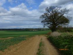 Photos walkern
