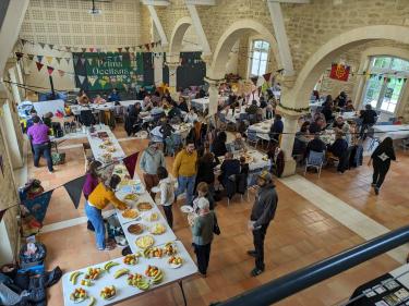 JE La valeur du lien à la langue : basque, occitan et au-delà