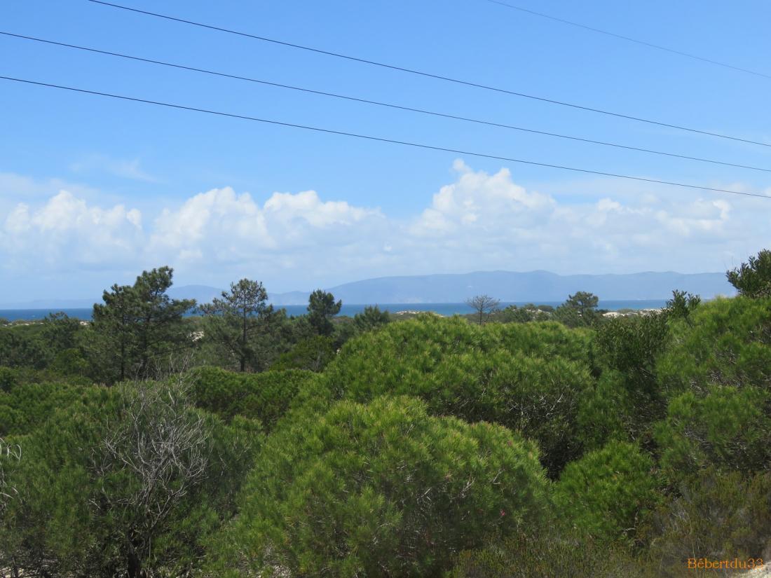 Comporta au Portugal