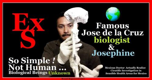 ALIEN PROJECT - Les momies du Pérou/5