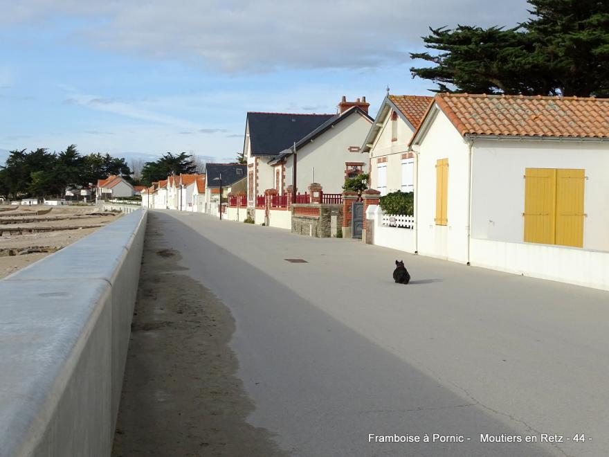 Moutiers en retz - Balade littoral 
