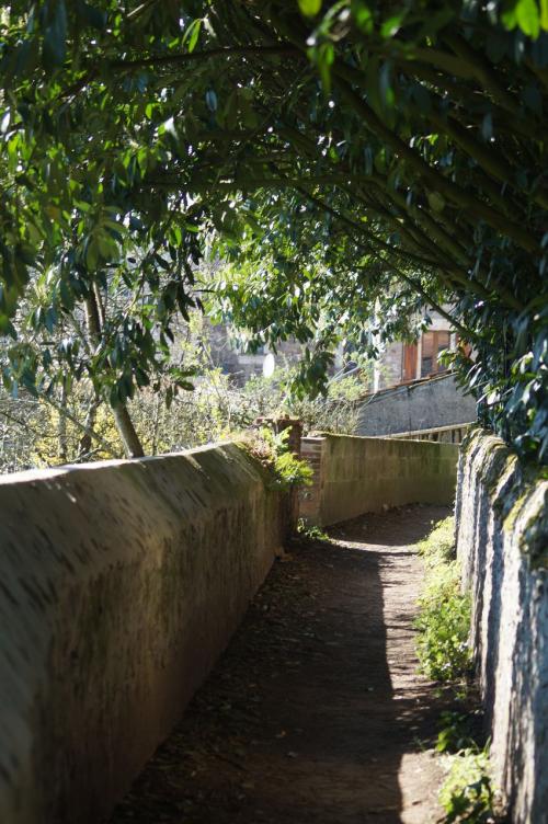 Saint Aubin de Luigné (fin du circuit)