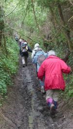 La randonnée du 6 mai à Bavent