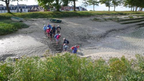 "En Baie de Somme" - Mardi 17 septembre 2024