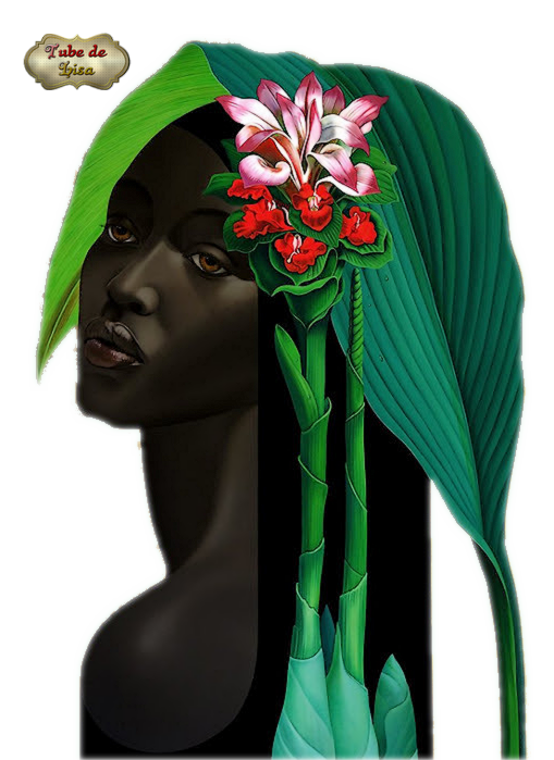 Afrique série 1