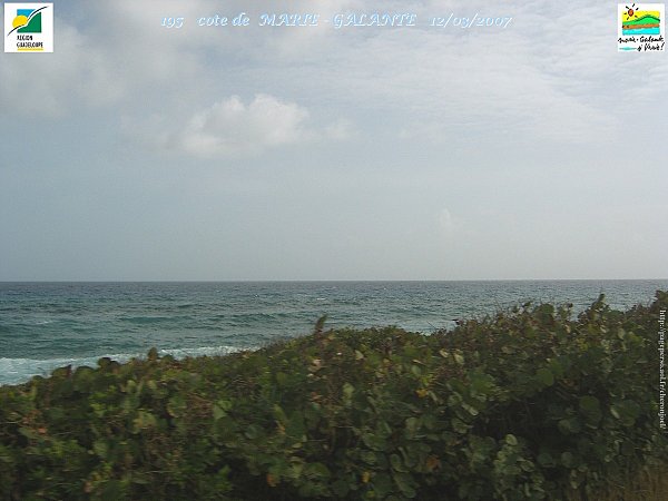 195-GUADELOUPE--6---20---03---2007.jpg