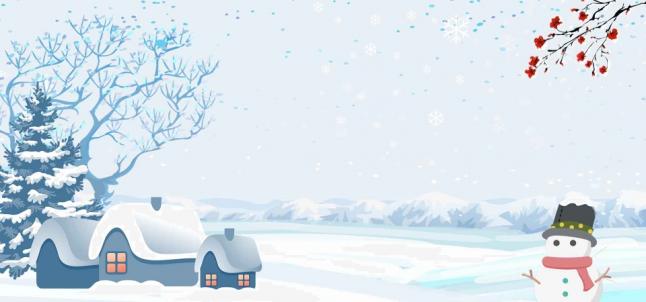 bonhomme de neige ...