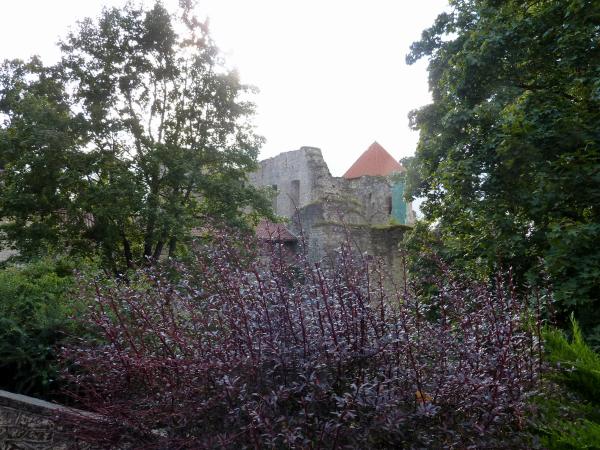 Les pays Baltes : Estonie : Jour 5 - Lettonie : Châteaux de Turaida et de Cesis