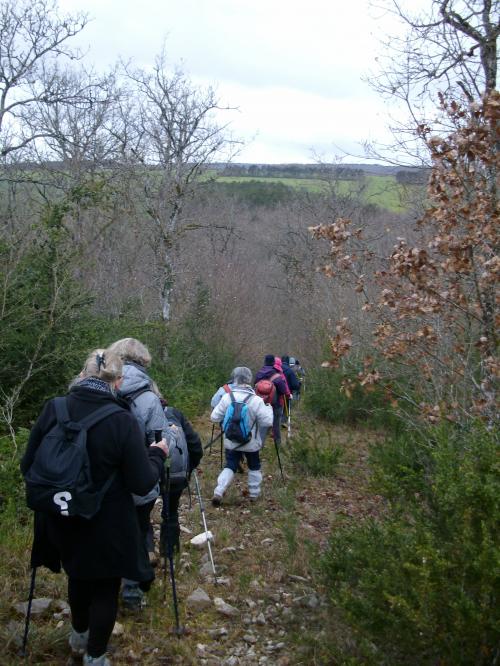 "Ahuy - Charmes aux Lièvres" - Dimanche 17 janvier 2016