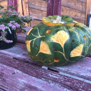 Mais quelles courges !!