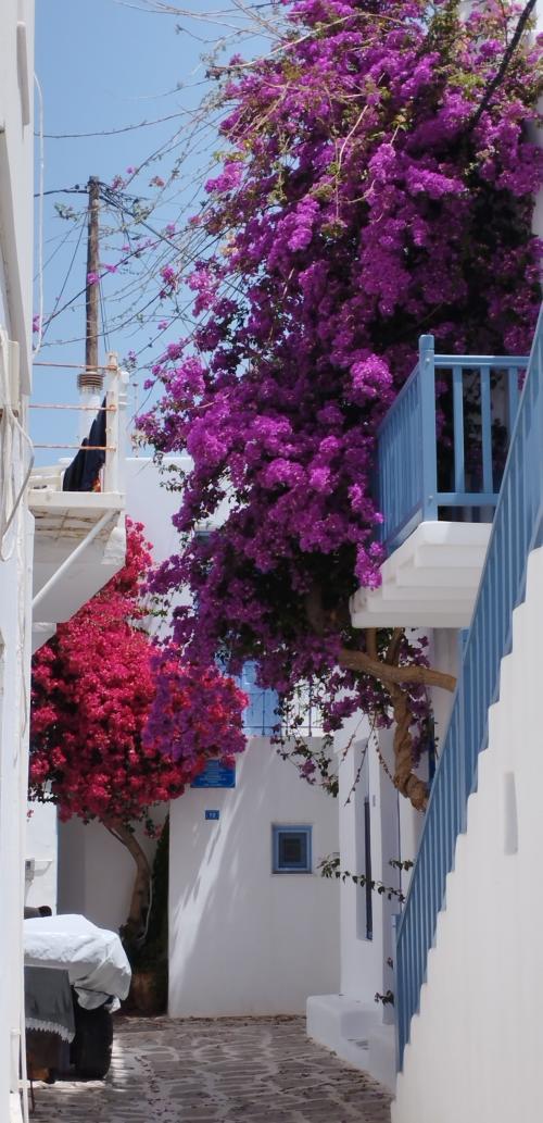 PAROS en couleurs !