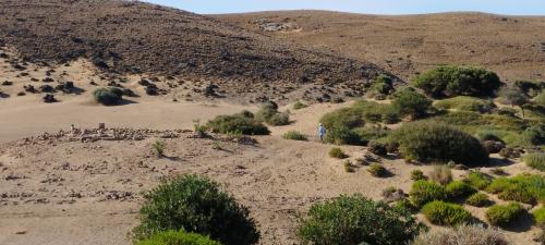 Du sable et des cailloux !