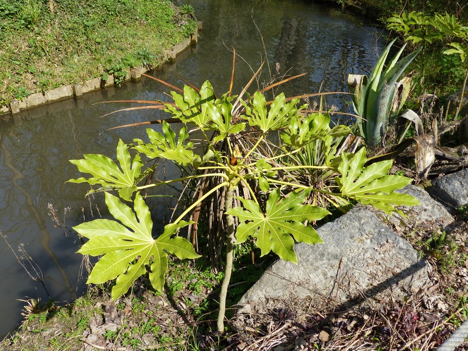 Le parc du Zoo d'Amiens