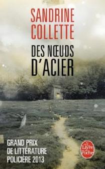 DES NOEUDS D'ACIER de SANDRINE COLLETTE