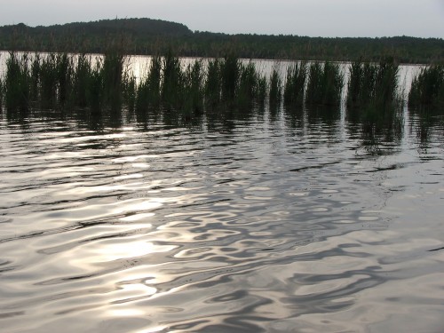 DSCF4022.JPG