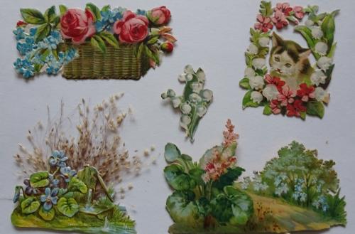 Mes chromos et cartes peintes