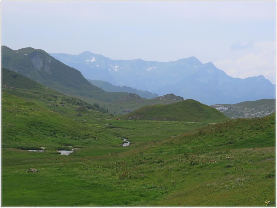 ELLE  DESCEND  DE LA  MONTAGNE ?