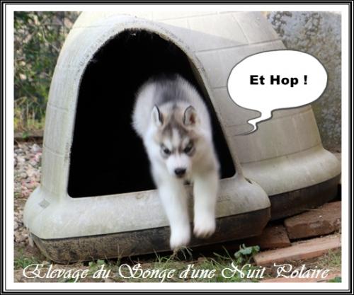 Portée d'Ourika (19 novembre 2023)