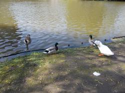  * Au Domaine de Bourgogne