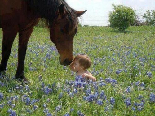 L'enfant et la nature