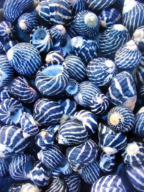 couleurs... bleue
