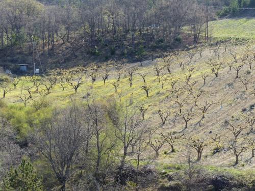 Col de Goudon (Arpavon - Drôme)