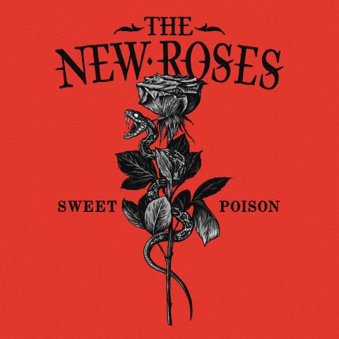 THE NEW ROSES - "My Kinda Crazy" Clip