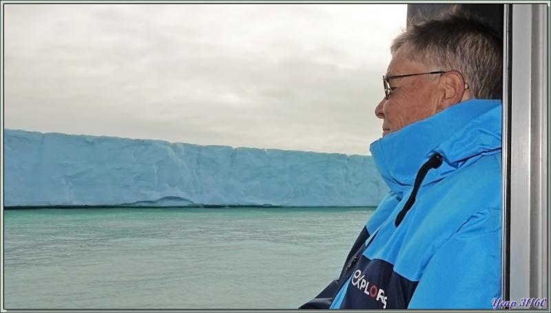 Un peu de "birdwatching" le long du Glacier Bråsvell (Bråsvellbreen) - Calotte glacière Austfonna - Nordaustlandet Island - Svalbard - Norvège
