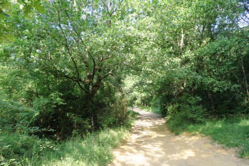 Visite du Colorado Provençal à Rustrel