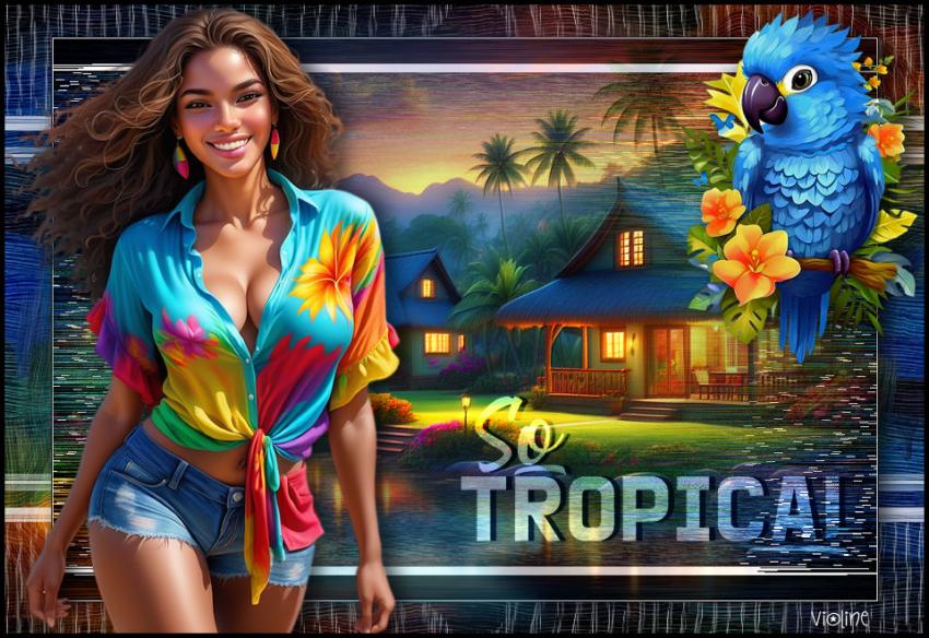 So Tropical