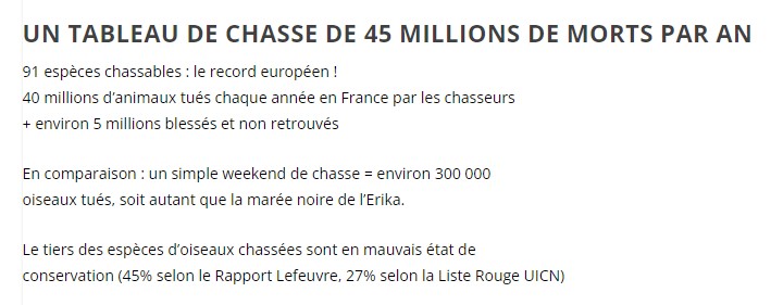 Quand arrêterons nous ce massacre ?