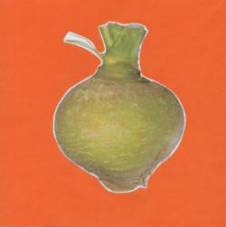 Rutabaga