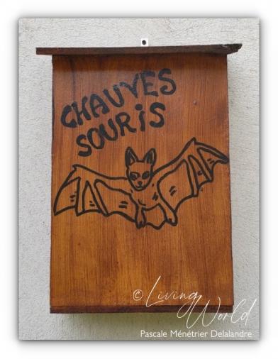 Abri de jour pour Chauves souris, Installé en mars 2022