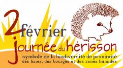 Les origines de la Chandeleur