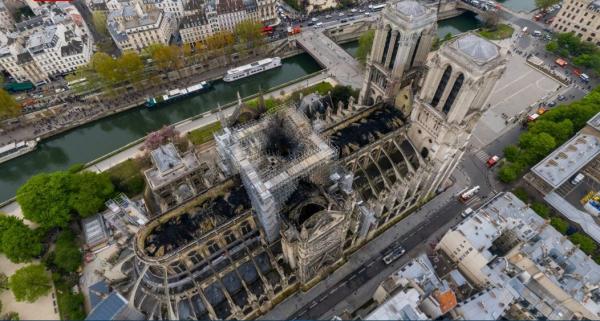 Le coq de Notre Dame de Paris