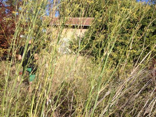 Maison rurale surabandonnée presqu'au coueur d'Aix