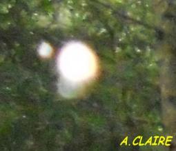 La page d'Annie Claire 