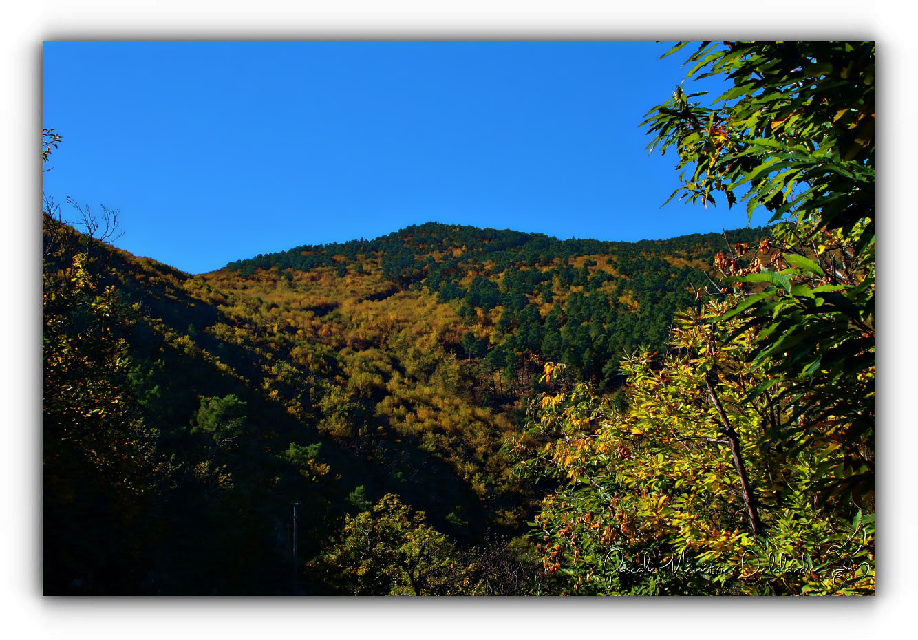 Au coeur des couleurs de l'Automne