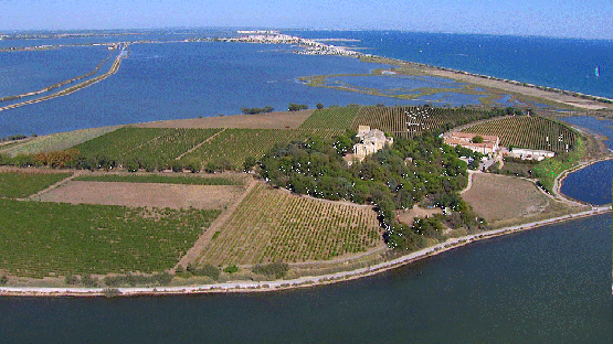 ღ꧁ღ╭⊱  Département 34  ꕥ⊱╮ღ꧂ღ