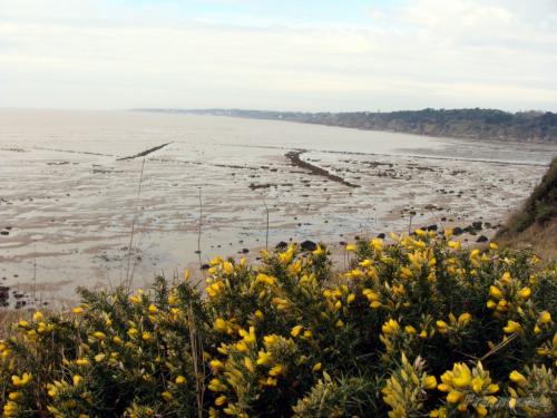 plage de crève coeur