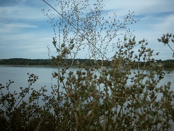 a-Saint-Pardon-au-bord-de-la-dordogne1.jpg