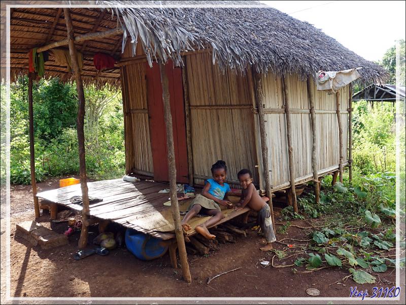 Promenade dans la forêt de Nosy Sakatia : Rencontre avec un futur marin ... - Madagascar
