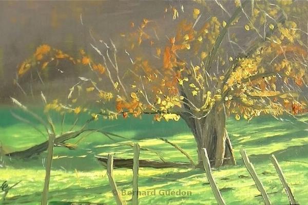 Peintures de : Bernard Guedon